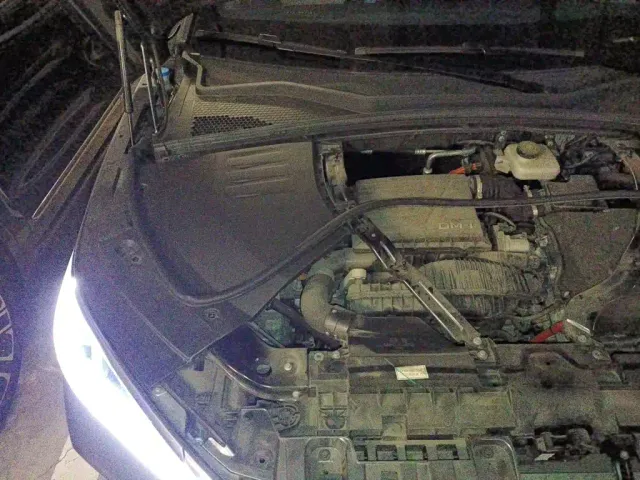 BYD Song PLUS — Фото автомобиля 21