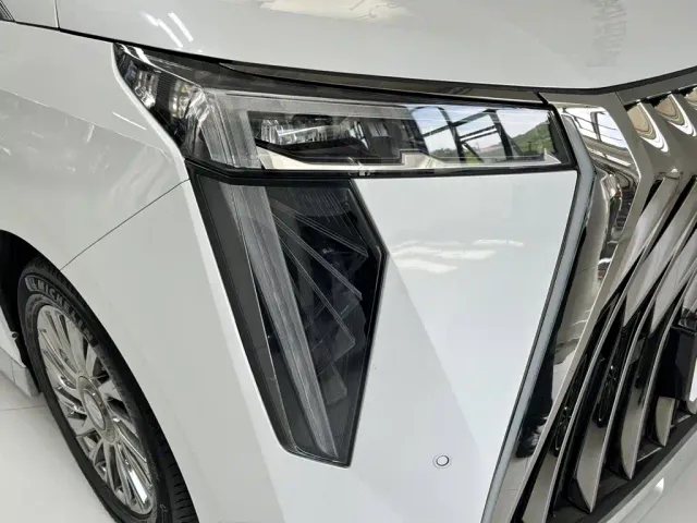 GAC Trumpchi M8 — Фото автомобиля 13