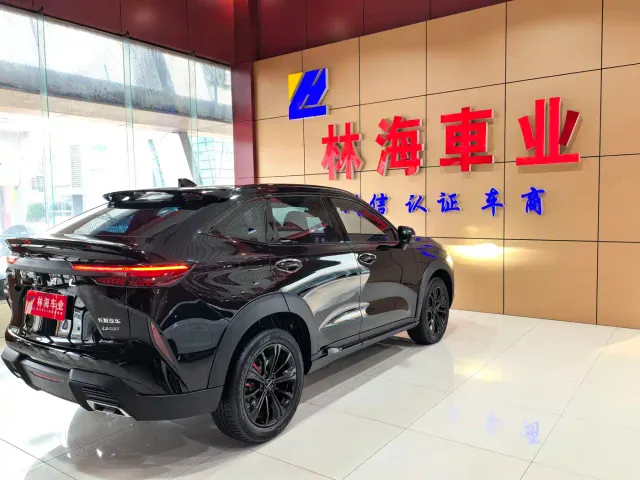 Haval H6S — Фото автомобиля 15