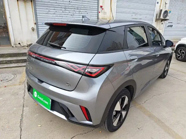 BYD Dolphin 2024 Glory Edition 420km Freedom Edition — Фото автомобиля 6