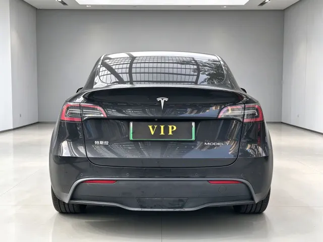 Tesla Model Y — Фото автомобиля 5