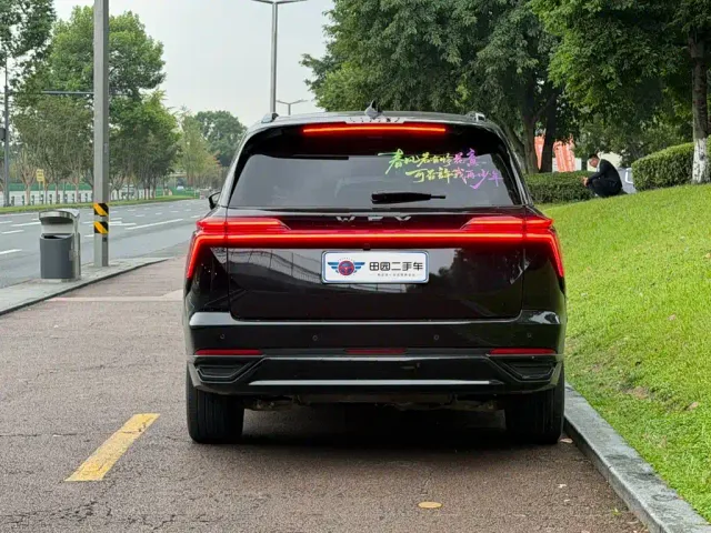 Wey Lanshan — Фото автомобиля 5