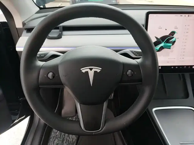 Tesla Model Y — Фото автомобиля 10