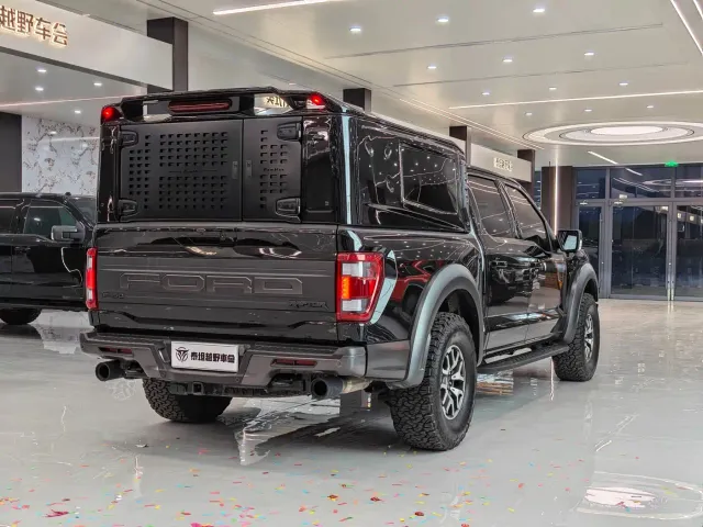 Ford F-150 Raptor — Фото автомобиля 9