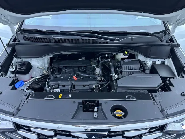 Hyundai Custo — Фото автомобиля 30