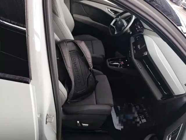 Audi Q5 e-tron — Фото автомобиля 24