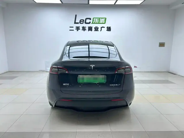 Tesla Model Y — Фото автомобиля 3