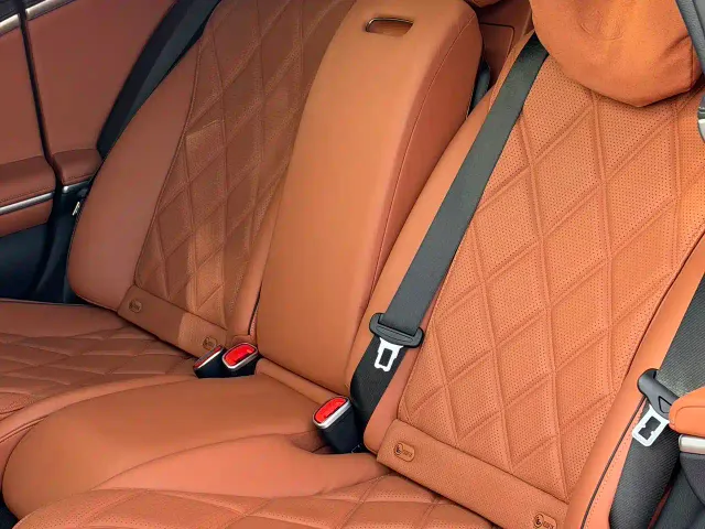 Mercedes-Benz Maybach S-Class — Фото автомобиля 13