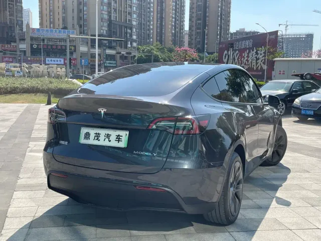 Tesla Model Y — Фото автомобиля 7
