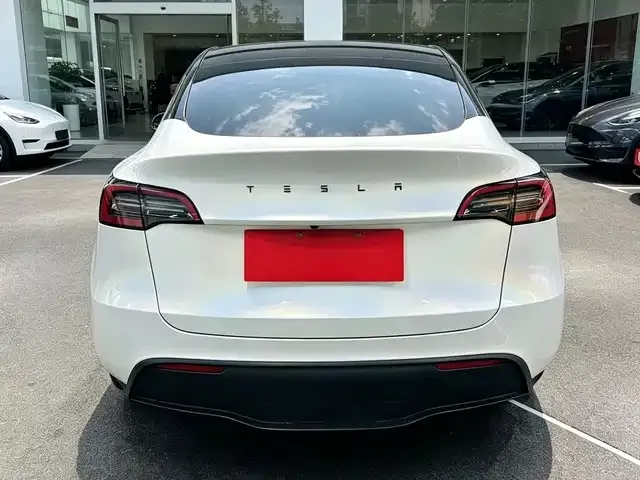 Tesla Model Y — Фото автомобиля 8
