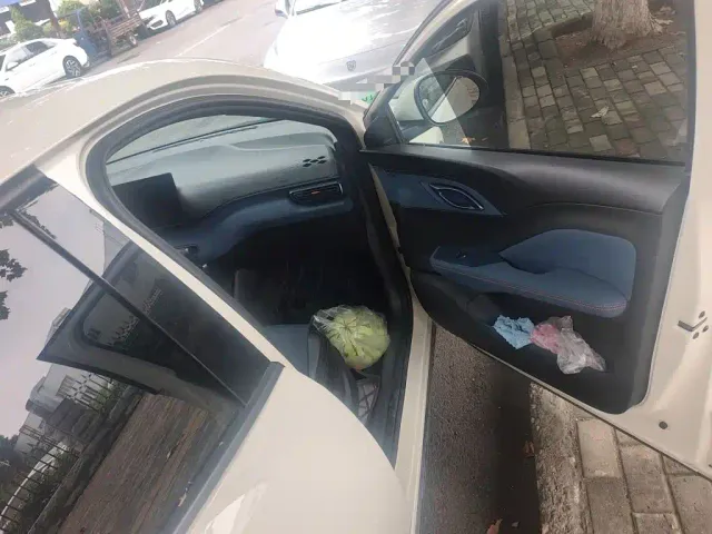 BYD Seagull — Фото автомобиля 19