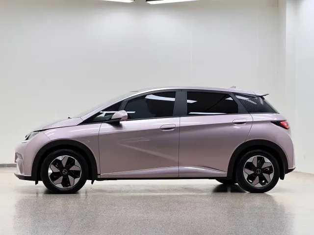 BYD Dolphin — Фото автомобиля 4