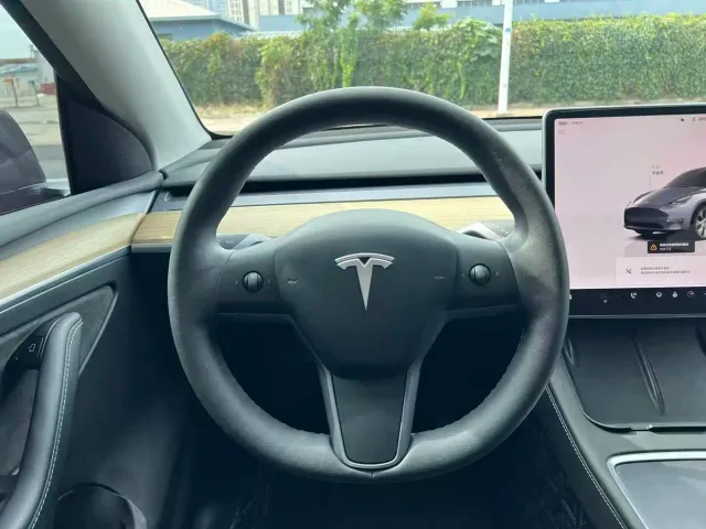 Tesla Model Y — Фото автомобиля 7