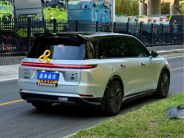 Li Auto L9 — Фото автомобиля 16