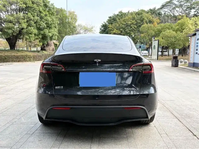 Tesla Model Y — Фото автомобиля 6