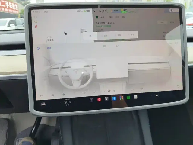 Tesla Model Y — Фото автомобиля 12