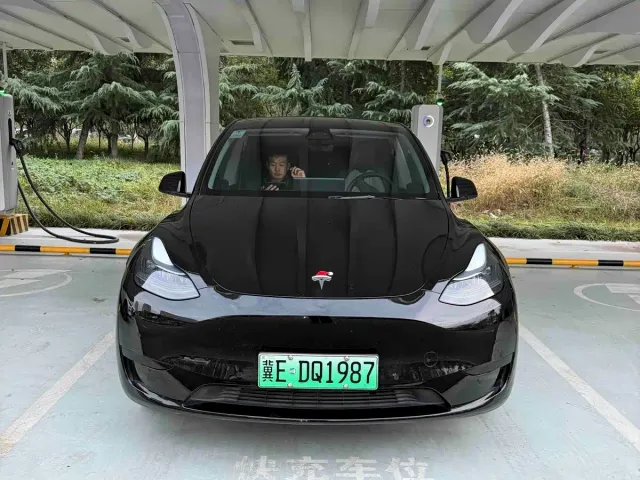 Tesla Model Y — Фото автомобиля 2