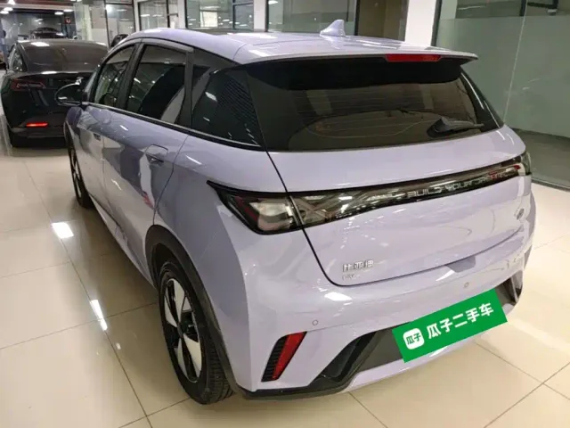 BYD Dolphin — Фото автомобиля 4