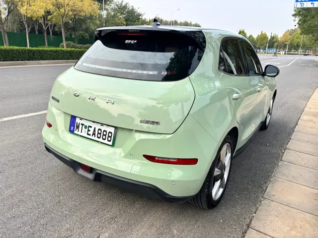 Ora Good Cat — Фото автомобиля 17