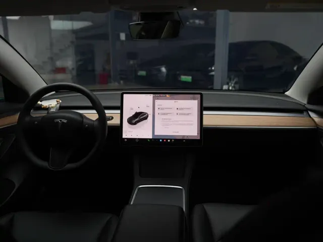 Tesla Model 3 — Фото автомобиля 12