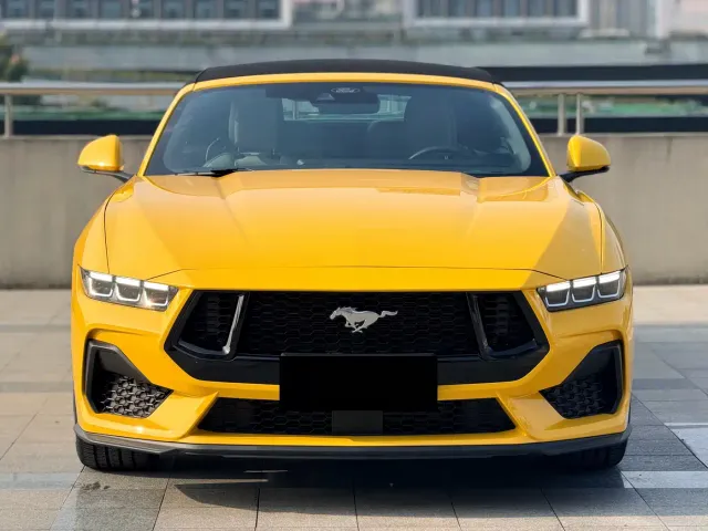 Ford Mustang — Фото автомобиля 8