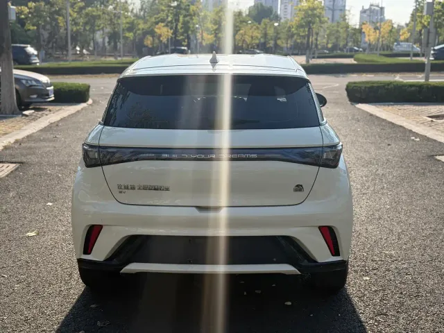 BYD Dolphin — Фото автомобиля 6