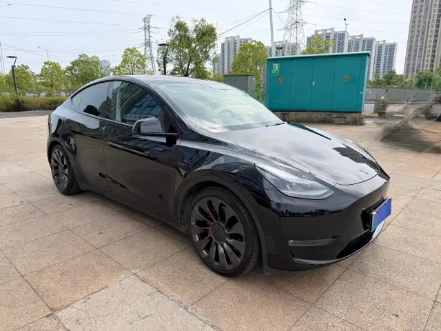 Tesla Model Y — Фото автомобиля 3