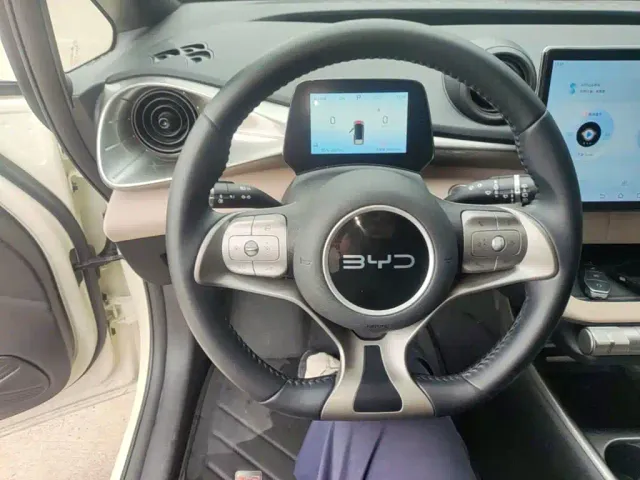 BYD Dolphin — Фото автомобиля 10