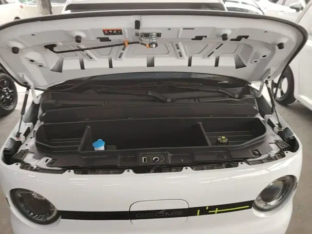 Geely Panda — Фото автомобиля 19