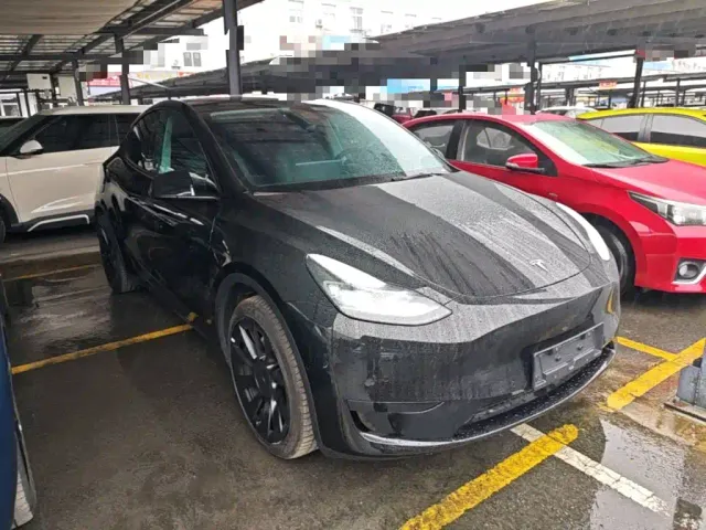 Tesla Model Y — Фото автомобиля 3