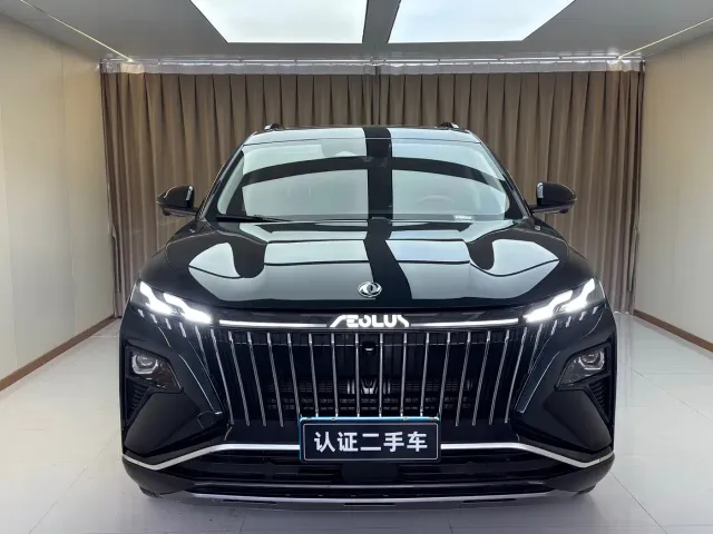 Dongfeng Haoji — Фото автомобиля 2
