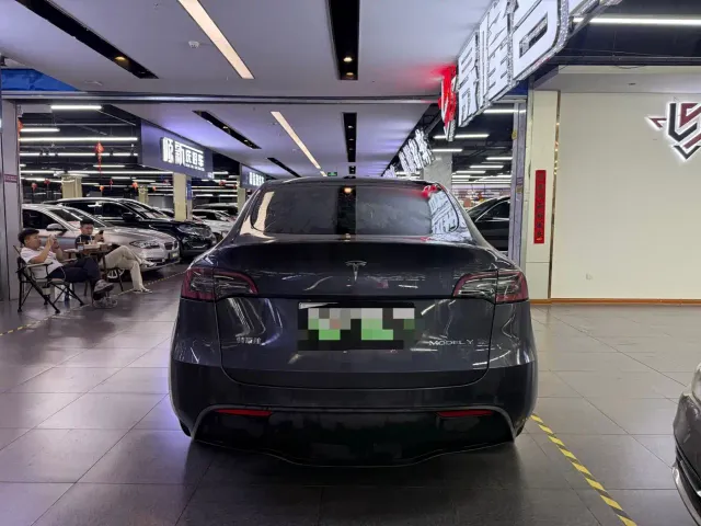 Tesla Model Y — Фото автомобиля 3