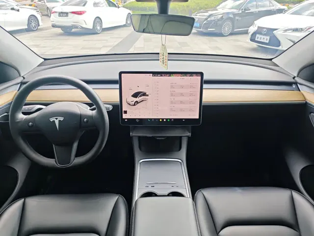 Tesla Model Y — Фото автомобиля 27