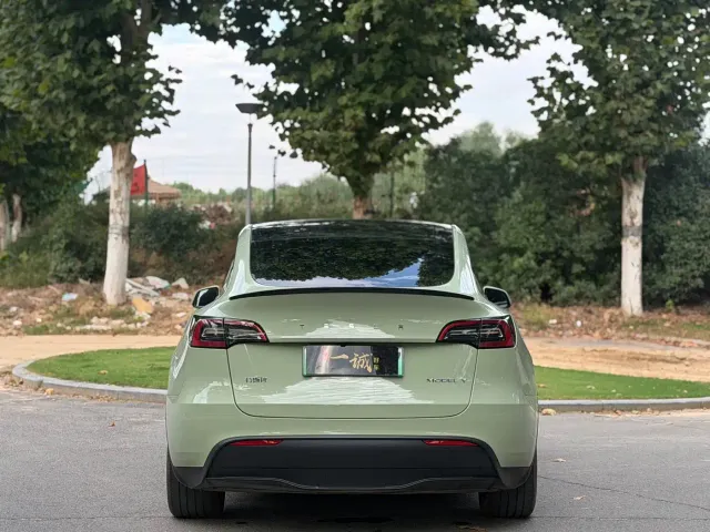 Tesla Model Y — Фото автомобиля 8