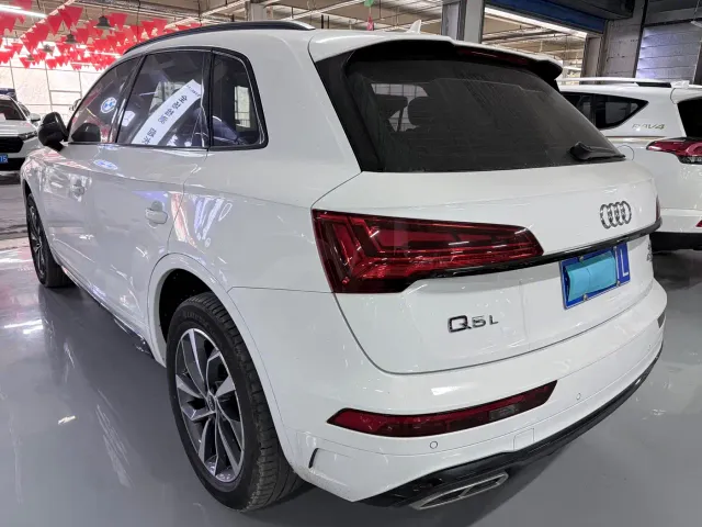 Audi Q5L — Фото автомобиля 18