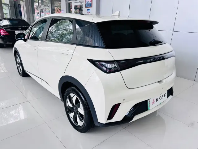 BYD Dolphin — Фото автомобиля 3