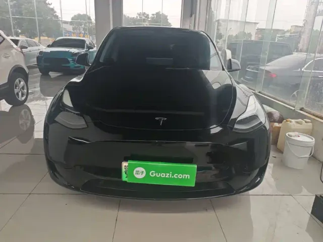 Tesla Model Y — Фото автомобиля 2