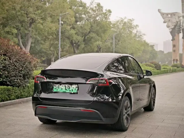 Tesla Model Y — Фото автомобиля 8