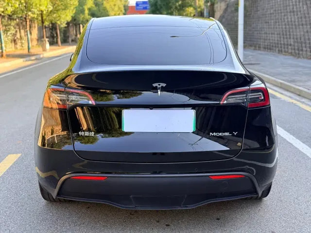 Tesla Model Y — Фото автомобиля 5