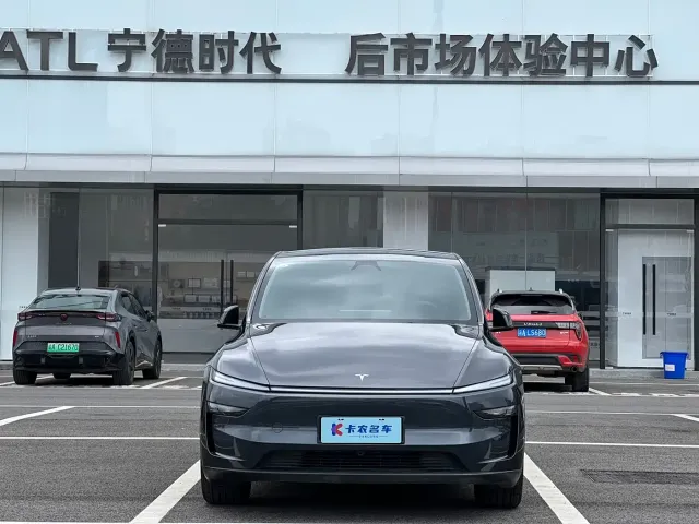 Tesla Model Y — Фото автомобиля 3