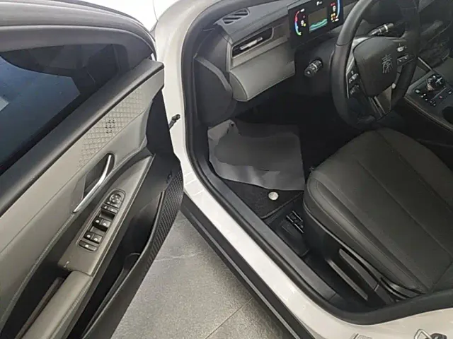 BYD Qin PLUS — Фото автомобиля 15