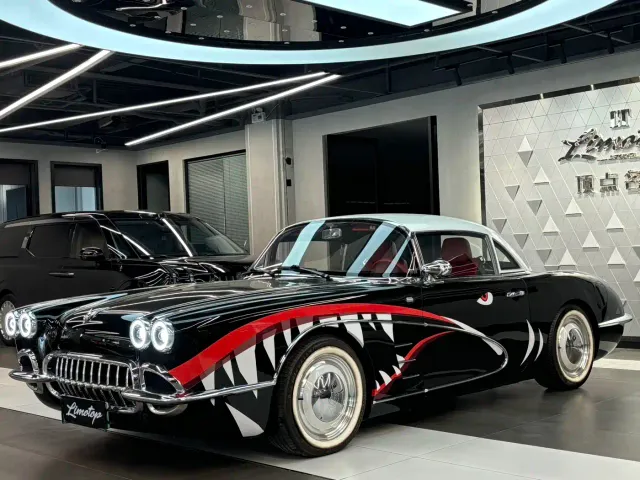 SONGSAN MOTORS SS DOLPHIN — Фото автомобиля 3