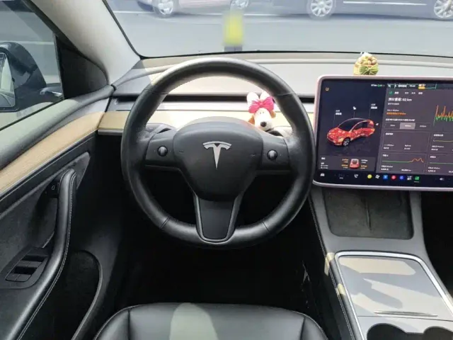 Tesla Model Y — Фото автомобиля 10