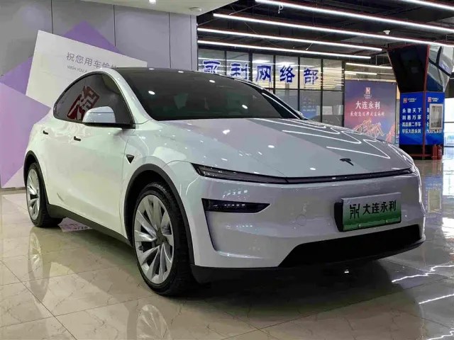 Tesla Model Y — Фото автомобиля 3