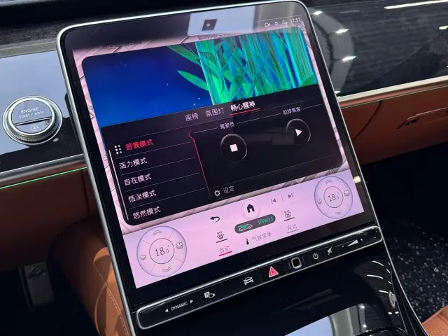 Mercedes-Benz Maybach S-Class — Фото автомобиля 10
