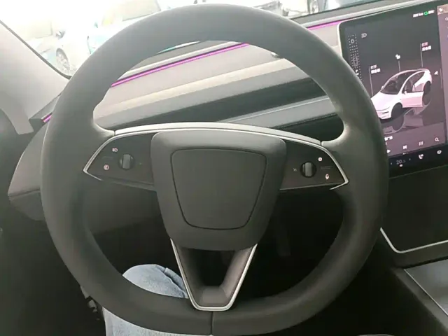 Tesla Model Y — Фото автомобиля 10