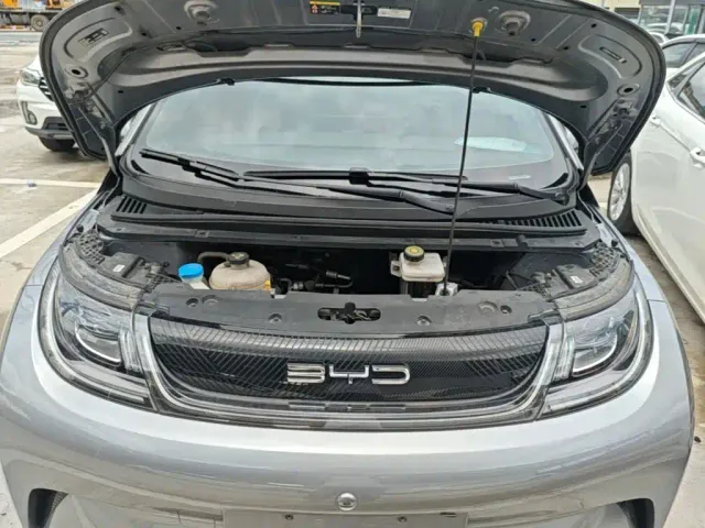 BYD Dolphin — Фото автомобиля 19