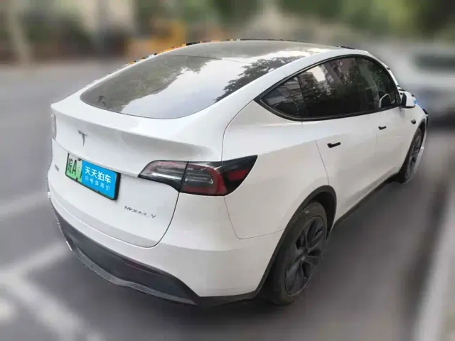Tesla Model Y — Фото автомобиля 2