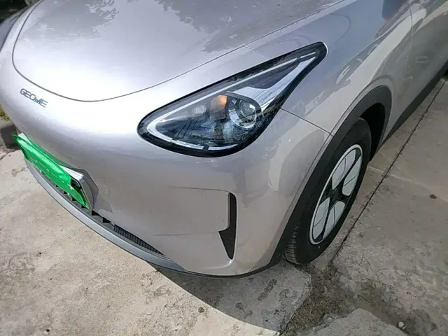 Geely Starry Wish — Фото автомобиля 23