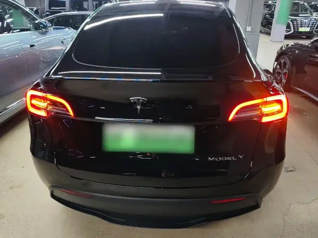 Tesla Model Y — Фото автомобиля 5